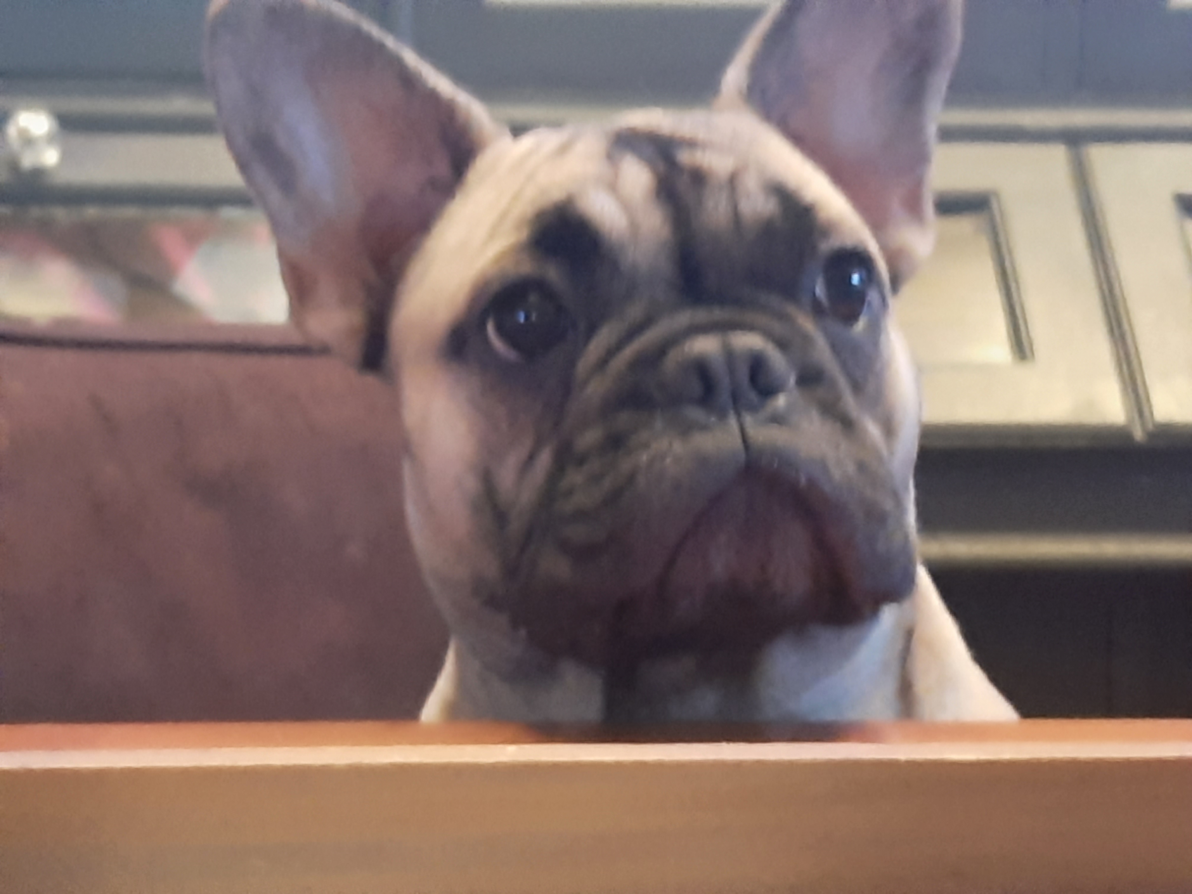 DJ Chloe